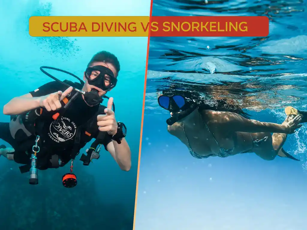Jenis Olahraga Air dan Perbedaan Diving dan Snorkeling