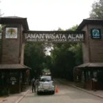 Hutan Mangrove di Indonesia