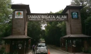 Hutan Mangrove di Indonesia