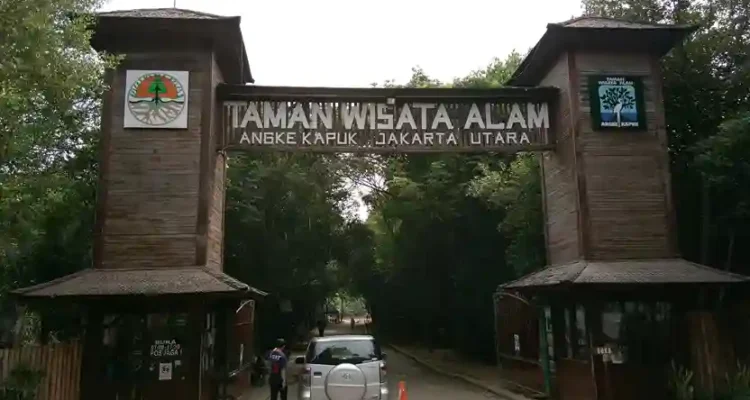 Hutan Mangrove di Indonesia
